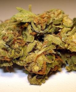 Acapulco Gold strain