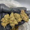 Grape ape  Strain
