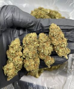 Obama kush Strain