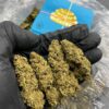 Space Queen  [ 30grams ]