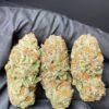 Amnesia Haze Strain