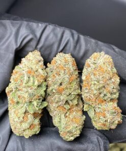 AK-47 strain