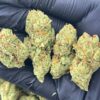 Sour Diesel Strain