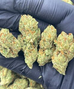 Sour Diesel Strain