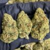Purple unicorn strain  [ 30grams ]