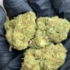 Green Crack strain