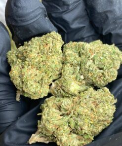 Green Crack strain