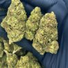 Gorilla Glue Strain