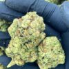 Bubba Kush Strain