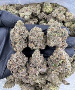 Gelato