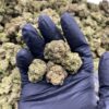 Herijuana [ 30grams ]