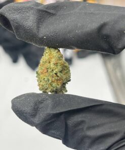 OG KUSH  STRAIN