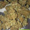 Purple Urkle Strain