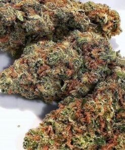 Afghan Kush Strain