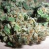 Northern light [  30grams ]