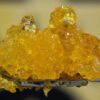Buy Cannabis Dabs USA